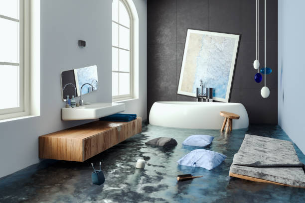 Best Professional water damage repair  in Houston, TX