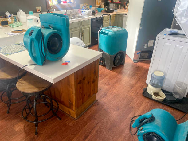 Best Carpet water damage restoration  in Houston, TX
