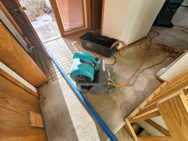 Best Basement water damage restoration  in Houston, TX