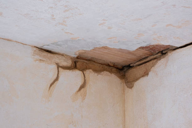 Best Basement water damage restoration  in Houston, TX