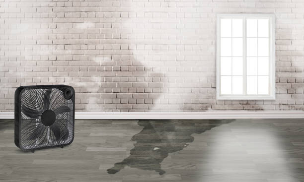 Best Residential water damage restoration  in Houston, TX