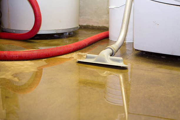 Best Water damage restoration near me  in Houston, TX