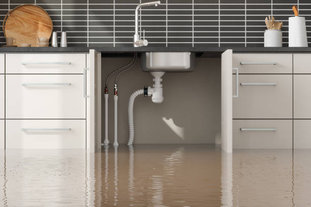 Best Mold removal after water damage  in Houston, TX